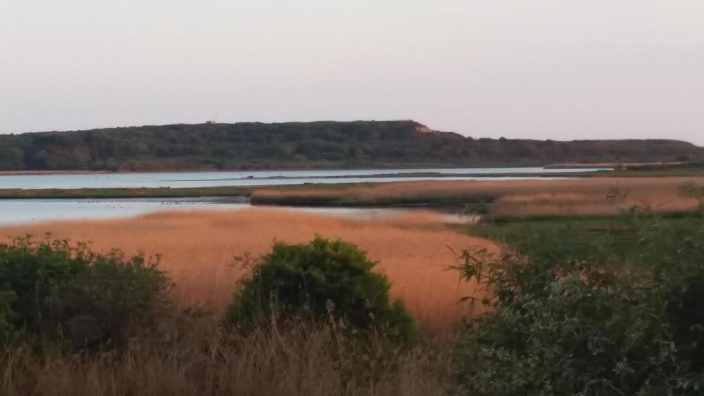 Bournecoast - Stunning View Of Nature Reserve - Hb5901 Vila Bournemouth Exterior foto